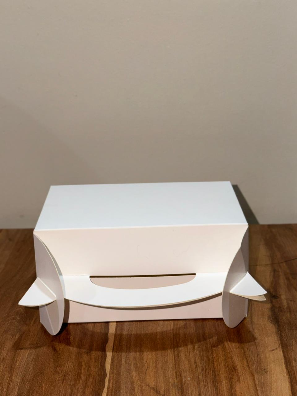 Custom Packaging — 2026-05-24 at 20.00.42